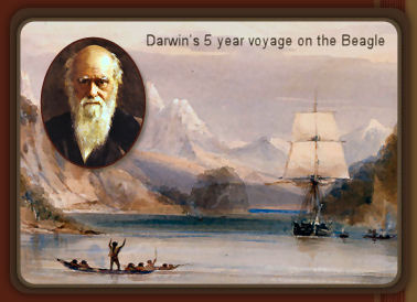 Charles Darwin is alive and well